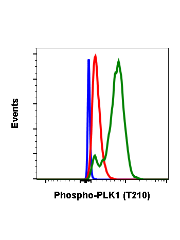 Phospho-PLK1 (Thr210) (C2) rabbit mAb