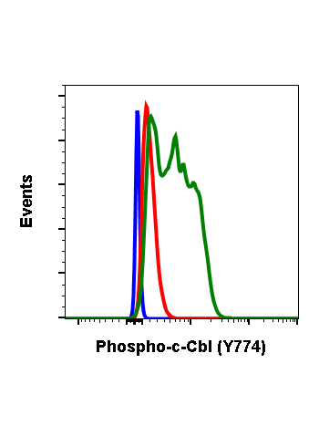 Phospho-c-Cbl (Tyr774) (R4C5) rabbit mAb