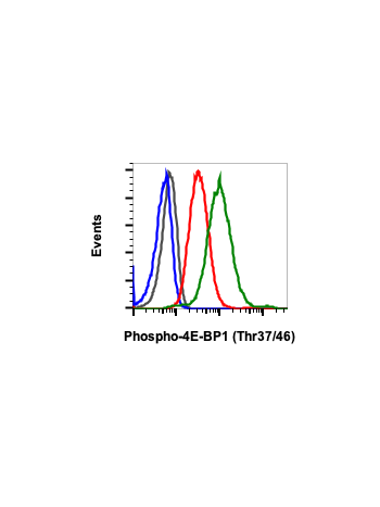 Flow cytometric analysis of Jurkat cells treated with U0126 (10 uM), 1 hr (red) or treated with TPA 0.2 uM, 30 min (green) using anti Phospho-4E-BP1 (Thr37/46) (A5) rabbit mAb 4EBP1T37T46-A5 #2046 at 1 ug/mL, or concentration-matched rabbit (G9) mAb IgG I