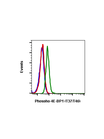 Phospho-4E-BP1 (Thr37/46) (A5) rabbit mAb FITC conjugate