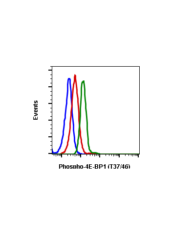 Phospho-4E-BP1 (Thr37/46) (A5) rabbit mAb SureLight 488 conjugate