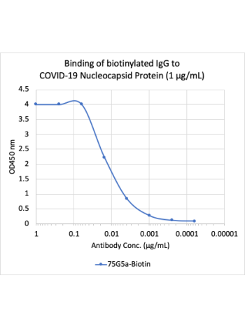 SARS-CoV-2 Nucleoprotein (NP) (75G5a) rabbit mAb Biotin Conjugate