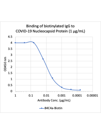 SARS-CoV-2 Nucleoprotein (NP) (84C4a) rabbit mAb Biotin Conjugate