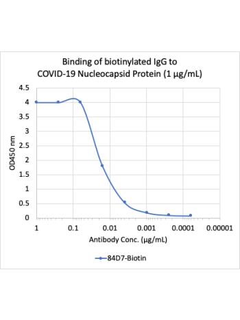 SARS-CoV-2 Nucleoprotein (NP) (84D7) rabbit mAb Biotin Conjugate