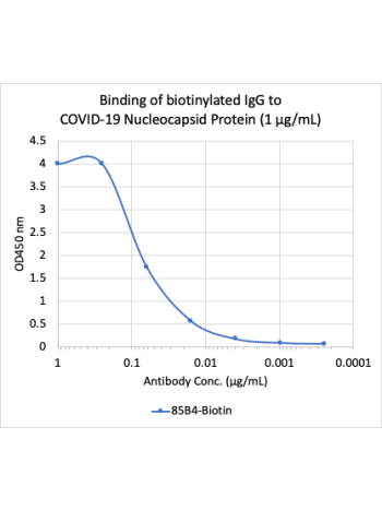 SARS-CoV-2 Nucleoprotein (NP) (85B4) rabbit mAb Biotin Conjugate