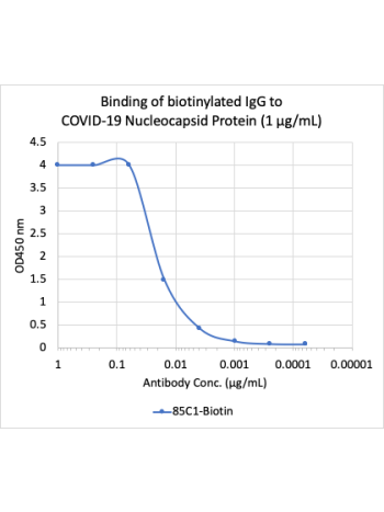 SARS-CoV-2 Nucleoprotein (NP) (85C1) rabbit mAb Biotin Conjugate