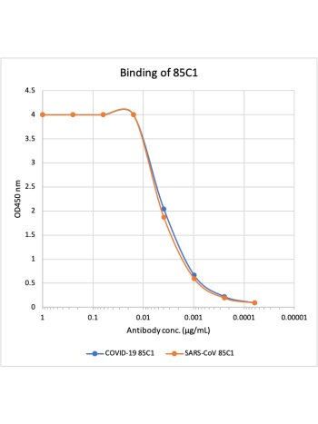 Microtiter wells were coated with SARS-CoV-2 (COVID-19) Nucleocapsid Protein (NP) and SARS-CoV NP at 1 ug/mL. Purified rabbit monoclonal antibody 85C1 (Cat# 2496) was serially diluted 1:2 starting at 1 ug/mL. Rabbit monoclonal antibody 85C1 show very stro