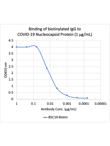 Recommended Pair - SARS-CoV-2 Nucleoprotein (NP) (85C10) rabbit mAb Biotin Conjugate