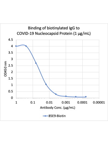 SARS-CoV-2 Nucleoprotein (NP) (85E9) rabbit mAb Biotin Conjugate