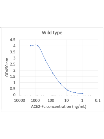 Microtiter wells were coated with 100 uL of each spike trimer at 2 ug/mL in PBS at 4˚C overnight. The wells were washed with PBS and blocked with 200 µL of 1% BSA/PBS. ACE2-Fc was serially diluted from 2 µg/mL in 1% BSA/PBS. The blocker was discarded, and