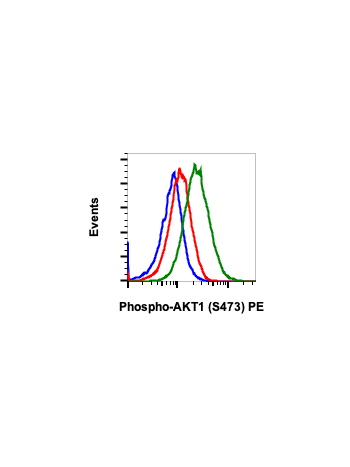 Phospho-Akt1 (Ser473) (B9) rabbit mAb PE conjugate