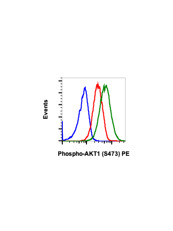 Phospho-Akt1 (Ser473) (C7) rabbit mAb PE conjugate