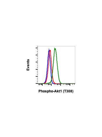 Phospho-Akt1 (Thr308) (G12) rabbit mAb