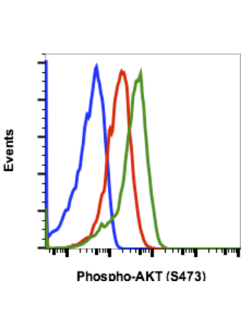 Phospho-Akt1 (Ser473) (B9) rabbit mAb