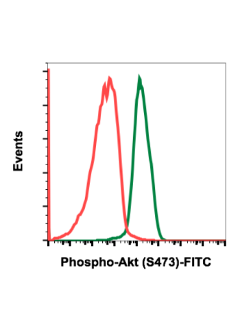 Phospho-Akt1 (Ser473) (C7) rabbit mAb FITC conjugate