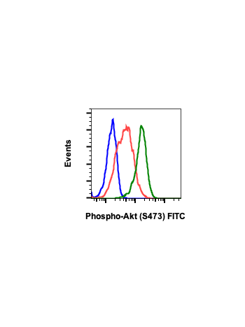 Phospho-Akt1 (Ser473) (B9) rabbit mAb FITC conjugate