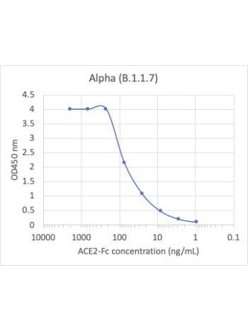 Concentration–response curves for binding of CoV2 spike protein to human ACE2 in cell-free ELISA-type assays. Microtiter wells were coated with 100 uL of each spike trimer at 2 ug/mL in PBS at 4˚C overnight. The wells were washed with PBS and blocked with