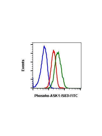 Phospho-Ask1 (Ser83) (G4) rabbit mAb FITC conjugate