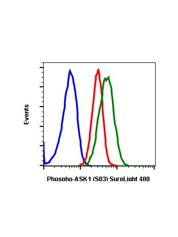 Phospho-Ask1 (Ser83) (G4) rabbit mAb SureLight 488 conjugate