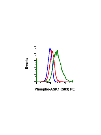 Phospho-Ask1 (Ser83) (G4) rabbit mAb PE conjugate