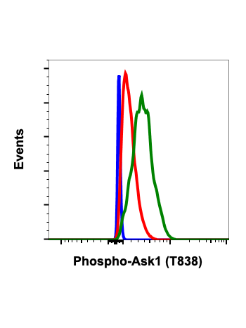 Phospho-Ask1 (Thr838) (8D12) rabbit mAb
