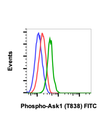 Phospho-Ask1 (Thr838) (8D12) rabbit mAb FITC Conjugate