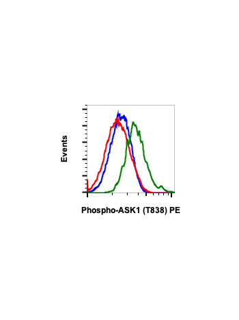 Phospho-Ask1 (Thr838) (8D12) rabbit mAb PE Conjugate