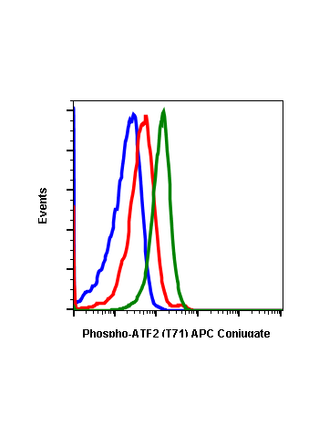 Phospho-ATF2 (Thr71) (G3) rabbit mAb APC conjugate