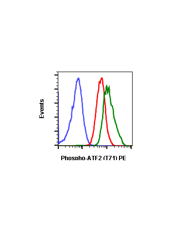 Phospho-ATF2 (Thr71) (G3) rabbit mAb PE conjugate