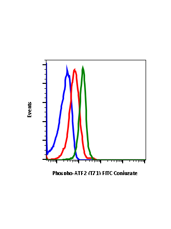 Phospho-ATF2 (Thr71) (G3) rabbit mAb FITC conjugate