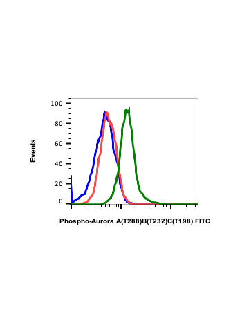 Phospho-Aurora A (Thr288)/Aurora B (Thr232)/Aurora C (Thr198) (CC12) rabbit mAb FITC conjugate