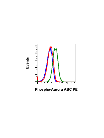 Phospho-Aurora A (Thr288)/Aurora B (Thr232)/Aurora C (Thr198) (CC12) rabbit mAb PE Conjugate