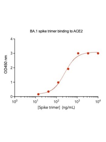 Concentration–response curves for binding of CoV2 spike protein to human ACE2 in cell-free ELISA-type assays. Microtiter wells were coated with 100 uL of ACE2-Fc at 2 ug/mL in PBS at 4˚C overnight. The wells were washed with PBS and blocked with 200 µL of