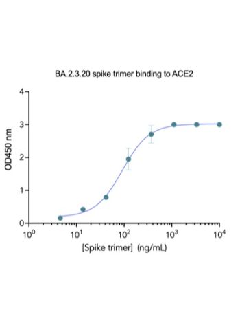 Concentration–response curves for binding of CoV2 spike protein to human ACE2 in cell-free ELISA-type assays. Microtiter wells were coated with 100 uL of ACE2-Fc at 2 ug/mL in PBS at 4˚C overnight. The wells were washed with PBS and blocked with 200 µL of