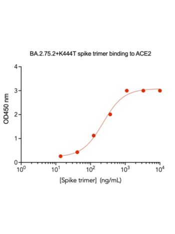 Concentration–response curves for binding of CoV2 spike protein to human ACE2 in cell-free ELISA-type assays. Microtiter wells were coated with 100 uL of ACE2-Fc at 2 ug/mL in PBS at 4˚C overnight. The wells were washed with PBS and blocked with 200 µL of