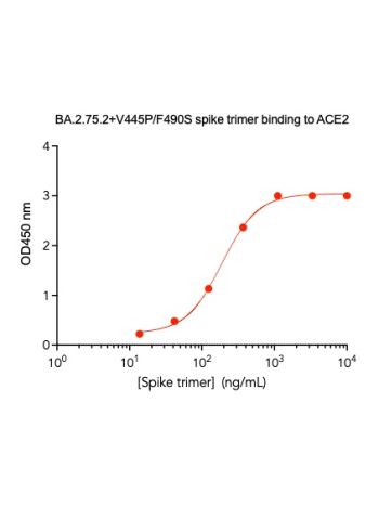 Concentration–response curves for binding of CoV2 spike protein to human ACE2 in cell-free ELISA-type assays. Microtiter wells were coated with 100 uL of ACE2-Fc at 2 ug/mL in PBS at 4˚C overnight. The wells were washed with PBS and blocked with 200 µL of