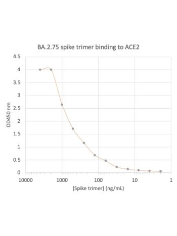 Concentration–response curves for binding of CoV2 spike protein to human ACE2 in cell-free ELISA-type assays. Microtiter wells were coated with 100 uL of ACE2-Fc at 2 ug/mL in PBS at 4˚C overnight. The wells were washed with PBS and blocked with 200 µL of