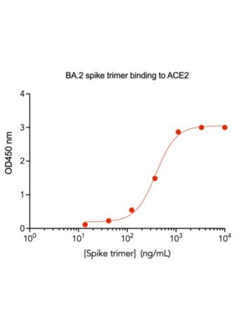 Concentration–response curves for binding of CoV2 spike protein to human ACE2 in cell-free ELISA-type assays. Microtiter wells were coated with 100 uL of ACE2-Fc at 2 ug/mL in PBS at 4˚C overnight. The wells were washed with PBS and blocked with 200 µL of