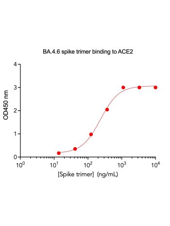 Concentration–response curves for binding of CoV2 spike protein to human ACE2 in cell-free ELISA-type assays. Microtiter wells were coated with 100 uL of ACE2-Fc at 2 ug/mL in PBS at 4˚C overnight. The wells were washed with PBS and blocked with 200 µL of