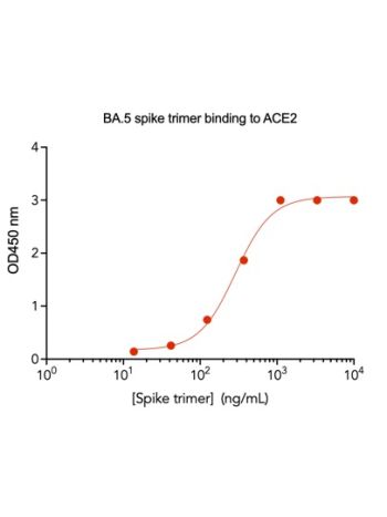 Concentration–response curves for binding of CoV2 spike protein to human ACE2 in cell-free ELISA-type assays. Microtiter wells were coated with 100 uL of ACE2-Fc at 2 ug/mL in PBS at 4˚C overnight. The wells were washed with PBS and blocked with 200 µL of