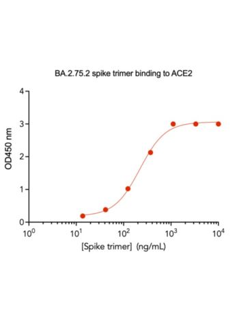 Concentration–response curves for binding of CoV2 spike protein to human ACE2 in cell-free ELISA-type assays. Microtiter wells were coated with 100 uL of ACE2-Fc at 2 ug/mL in PBS at 4˚C overnight. The wells were washed with PBS and blocked with 200 µL of