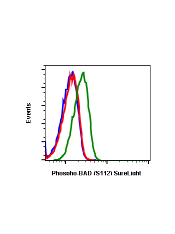 Phospho-BAD (Ser112) (B9) rabbit mAb SureLight 488 conjugate