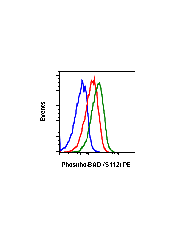 Phospho-BAD (Ser112) (B9) rabbit mAb PE conjugate