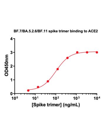 Concentration–response curves for binding of CoV2 spike protein to human ACE2 in cell-free ELISA-type assays. Microtiter wells were coated with 100 uL of ACE2-Fc at 2 ug/mL in PBS at 4˚C overnight. The wells were washed with PBS and blocked with 200 µL of