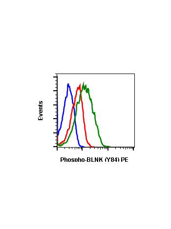 Flow cytometric analysis of Daudi cells unstained untreated cells as negative control (blue) or stained untreated (red) or treated with IFNα + IL-4 + pervanadate (green) using Phospho-BLNK (Tyr84) antibody BLNKY84-H4 APC conjugate at 0.05 µg/mL. Cat. #229