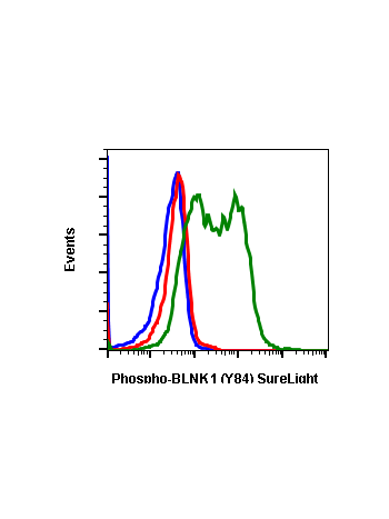 Phospho-BLNK (Tyr84) (H4) rabbit mAb SureLight488 conjugate