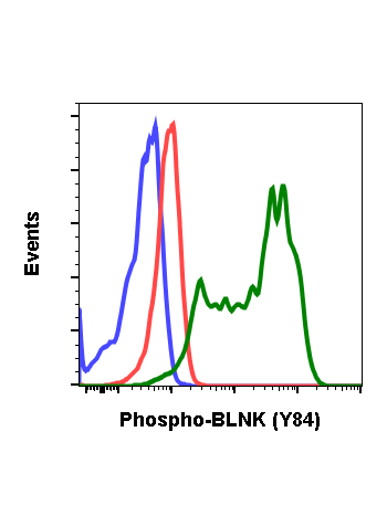 Phospho-BLNK (Tyr84) (H4) rabbit mAb