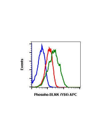 Flow cytometric analysis of Daudi cells secondary antibody only negative control (blue) or untreated (red) or treated with IFNα + IL-4 + pervanadate (green) using Phospho-BLNK (Tyr84) antibody BLNKY84-H4 at 0.01 µg/mL. Cat. #2291.