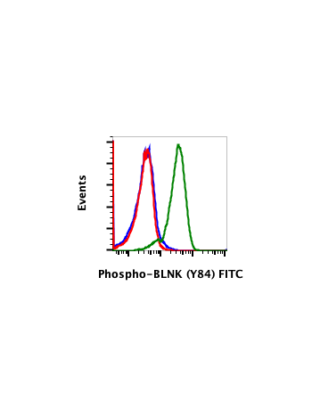 Phospho-BLNK (Tyr84) (H4) rabbit mAb FITC conjugate