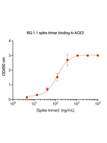 Concentration–response curves for binding of CoV2 spike protein to human ACE2 in cell-free ELISA-type assays. Microtiter wells were coated with 100 uL of ACE2-Fc at 2 ug/mL in PBS at 4˚C overnight. The wells were washed with PBS and blocked with 200 µL of